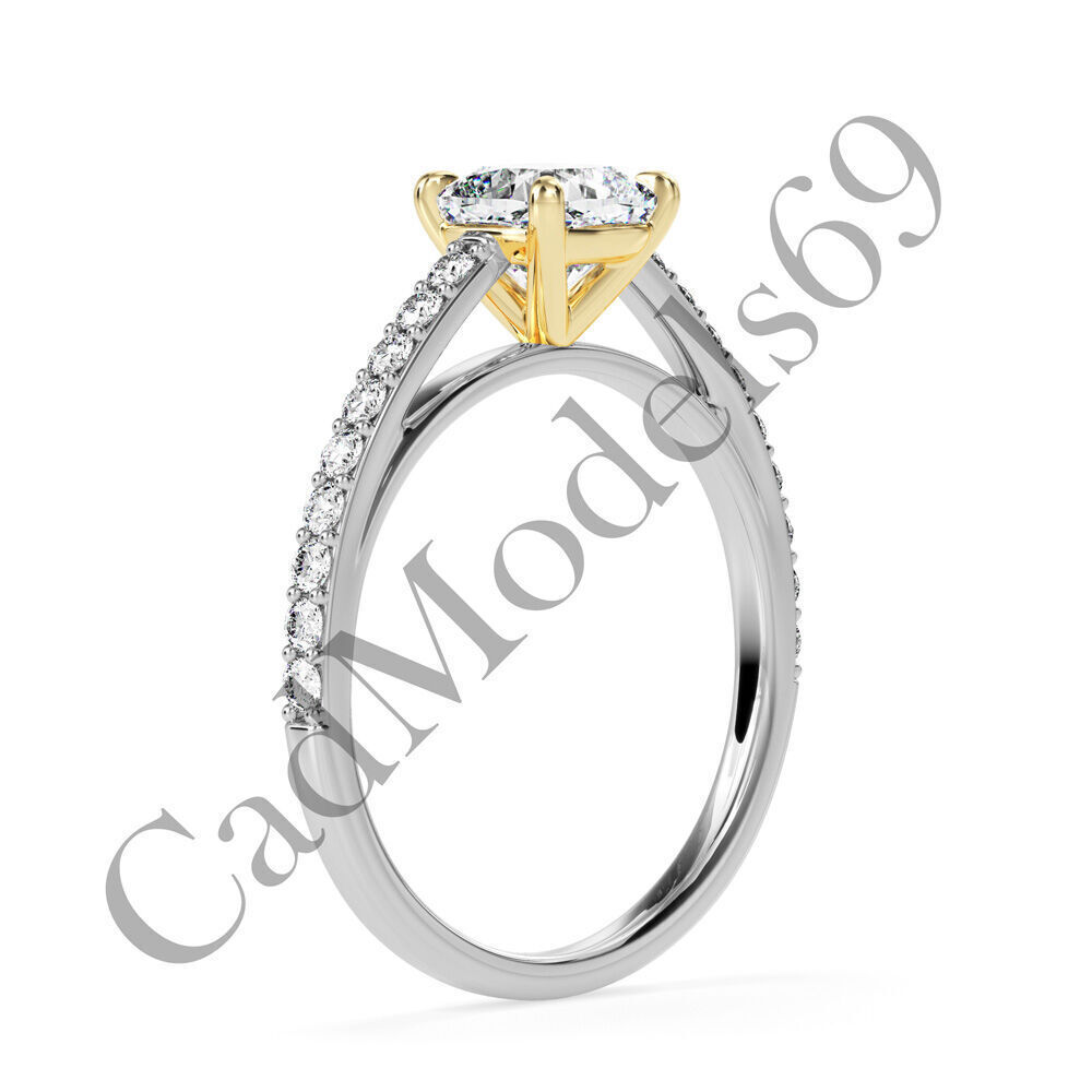 Ring02 3DM Print Model with 28 IMAGES and 7 VIDEOS 3D print model_21