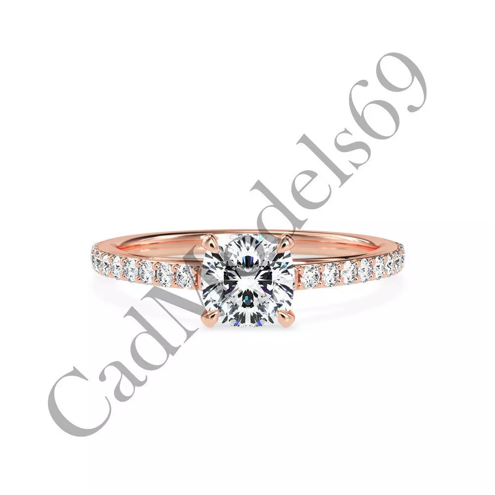 Ring02 3DM Print Model with 28 IMAGES and 7 VIDEOS 3D print model_0