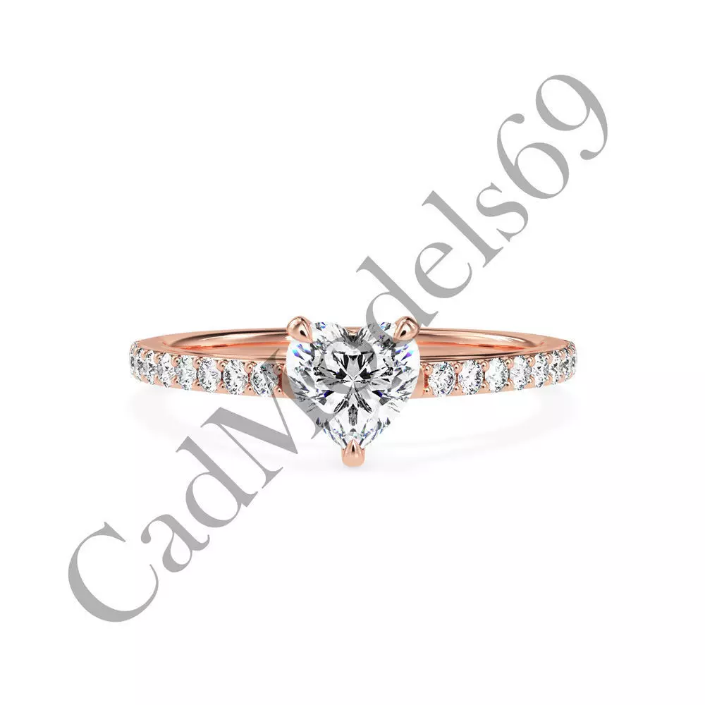 Ring04 3DM Print Model with 28 IMAGES and 7 VIDEOS 3D print model_0