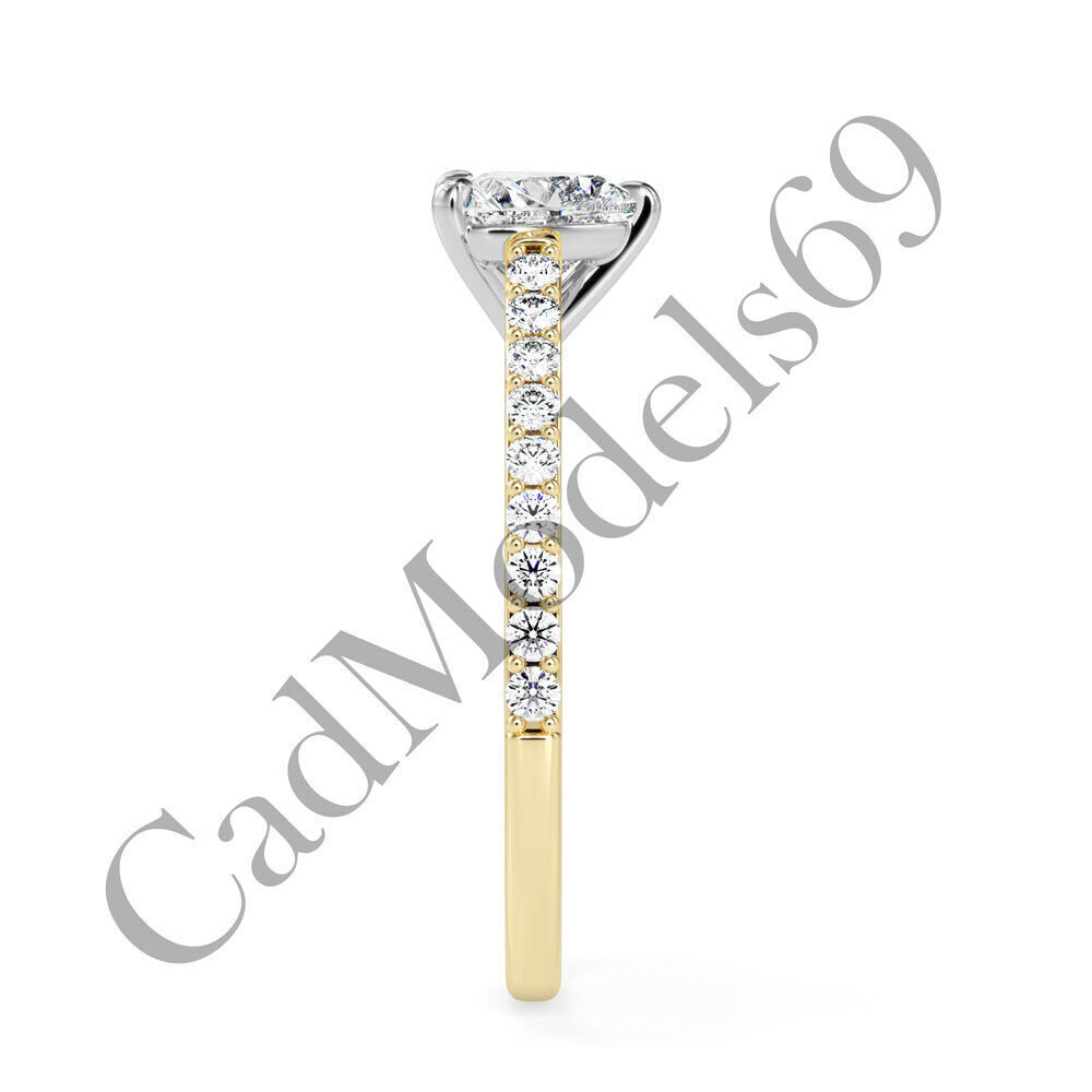 Ring04 3DM Print Model with 28 IMAGES and 7 VIDEOS 3D print model_19