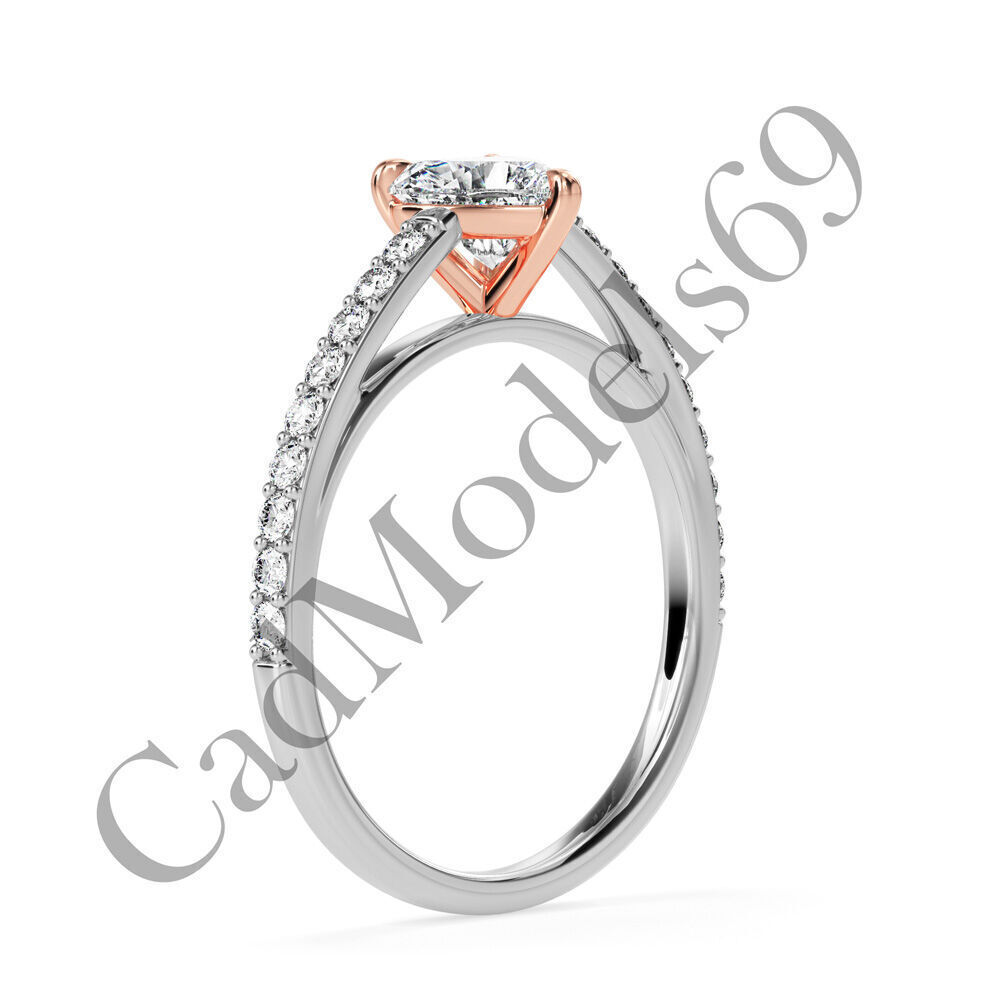 Ring04 3DM Print Model with 28 IMAGES and 7 VIDEOS 3D print model_5