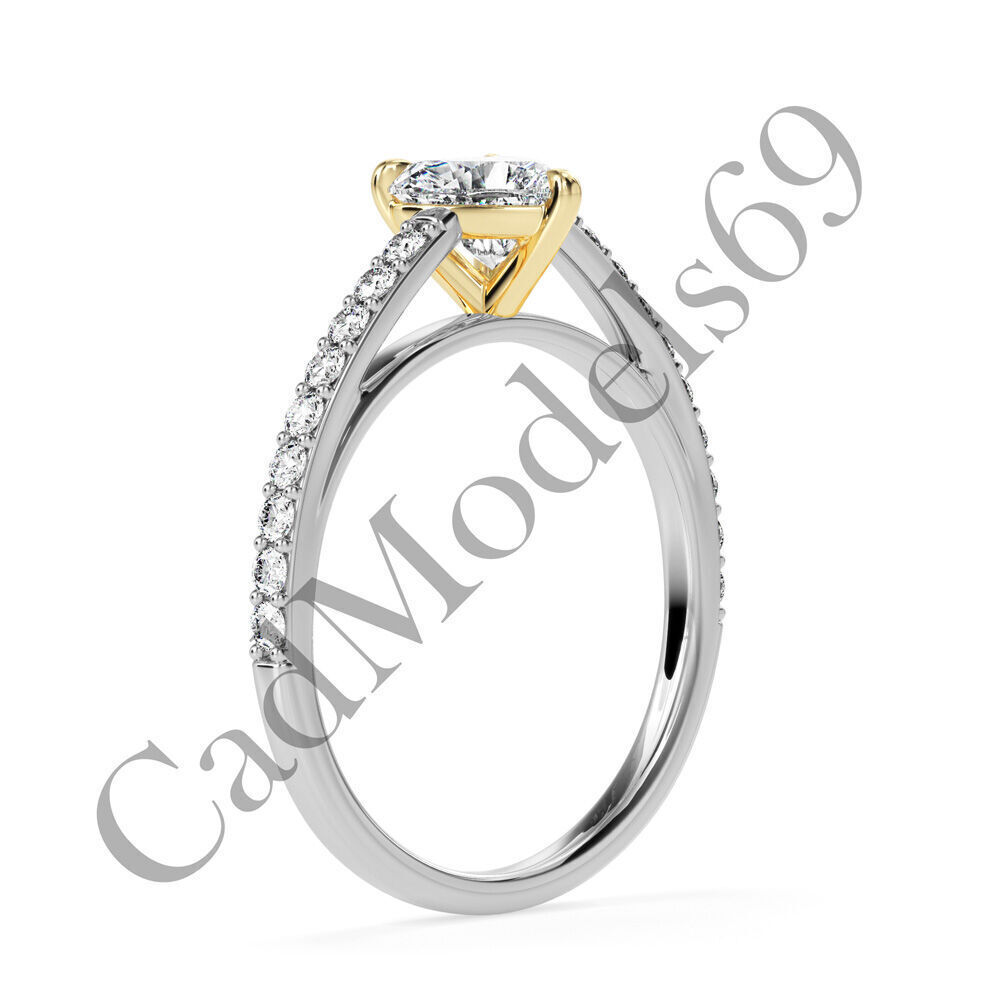 Ring04 3DM Print Model with 28 IMAGES and 7 VIDEOS 3D print model_21