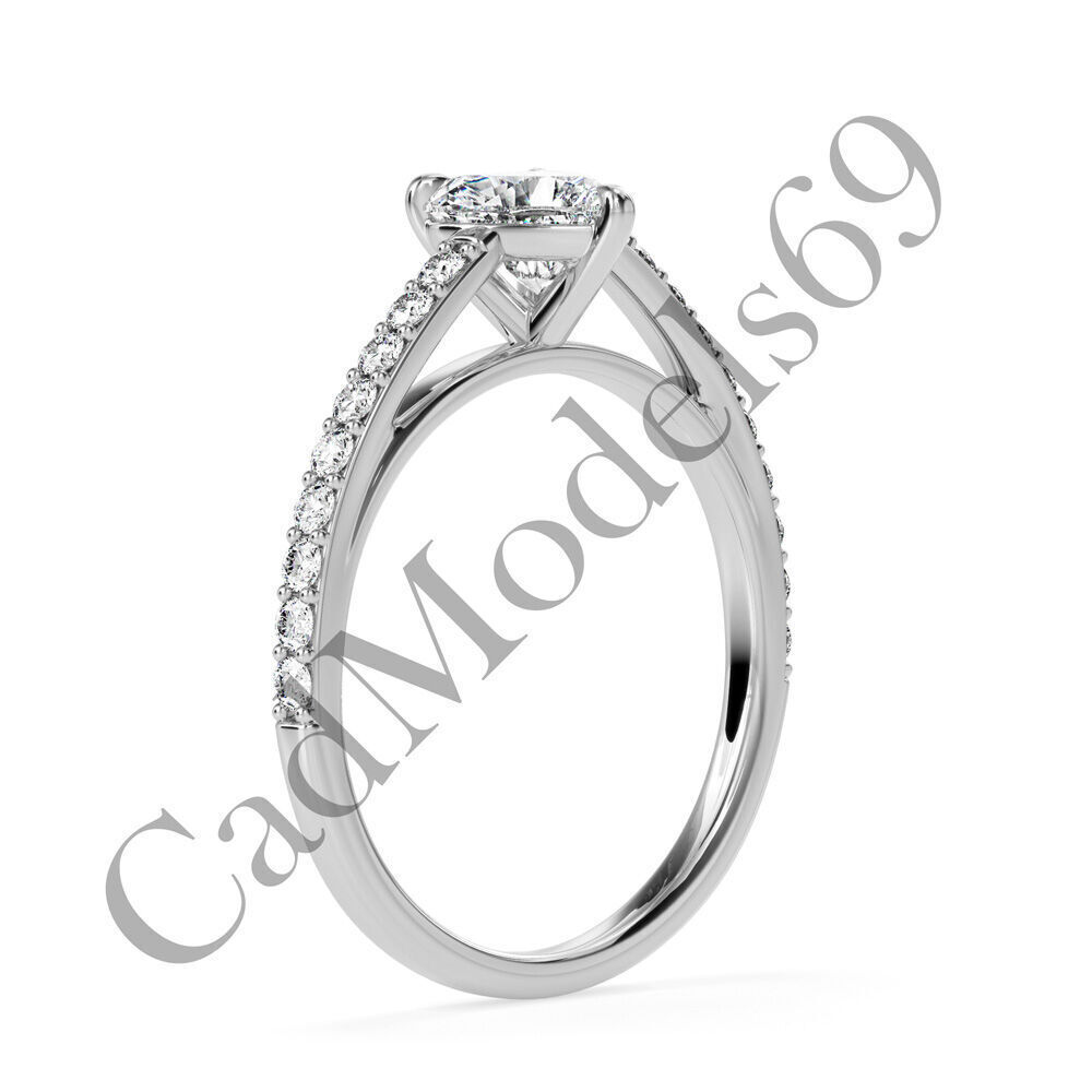 Ring04 3DM Print Model with 28 IMAGES and 7 VIDEOS 3D print model_13