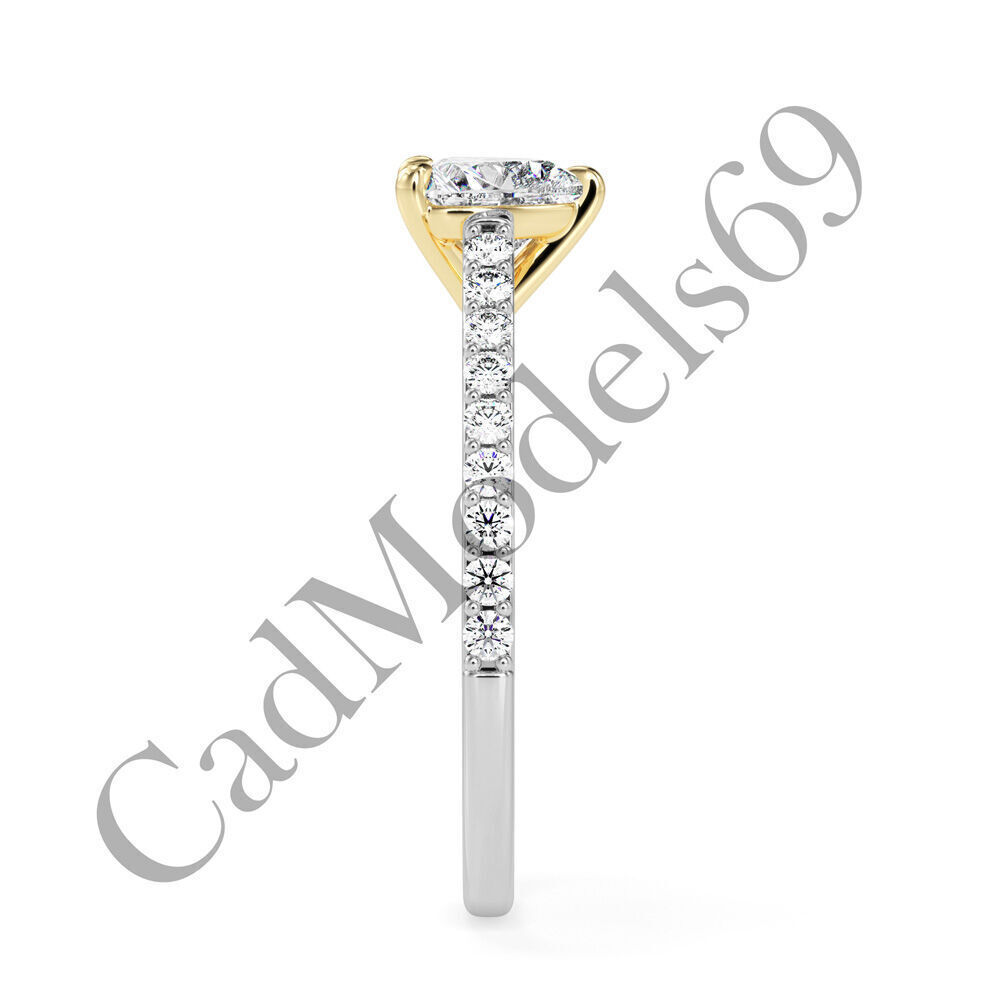 Ring04 3DM Print Model with 28 IMAGES and 7 VIDEOS 3D print model_23