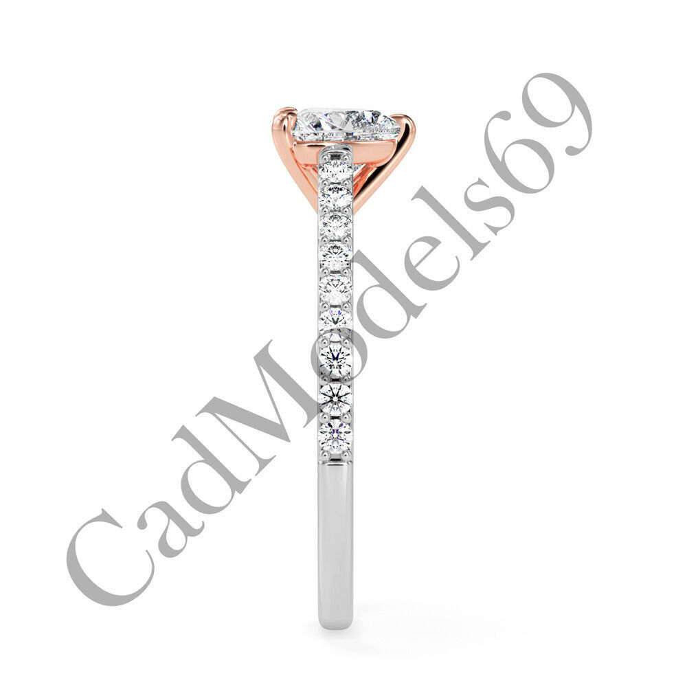 Ring04 3DM Print Model with 28 IMAGES and 7 VIDEOS 3D print model_7