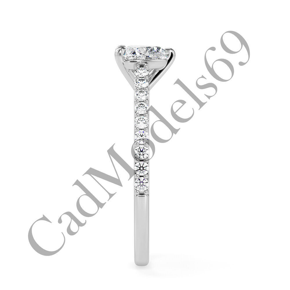 Ring04 3DM Print Model with 28 IMAGES and 7 VIDEOS 3D print model_15