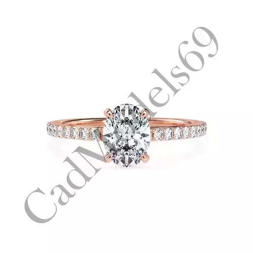 Ring06 3DM Print Model with 28 IMAGES and 7 VIDEOS