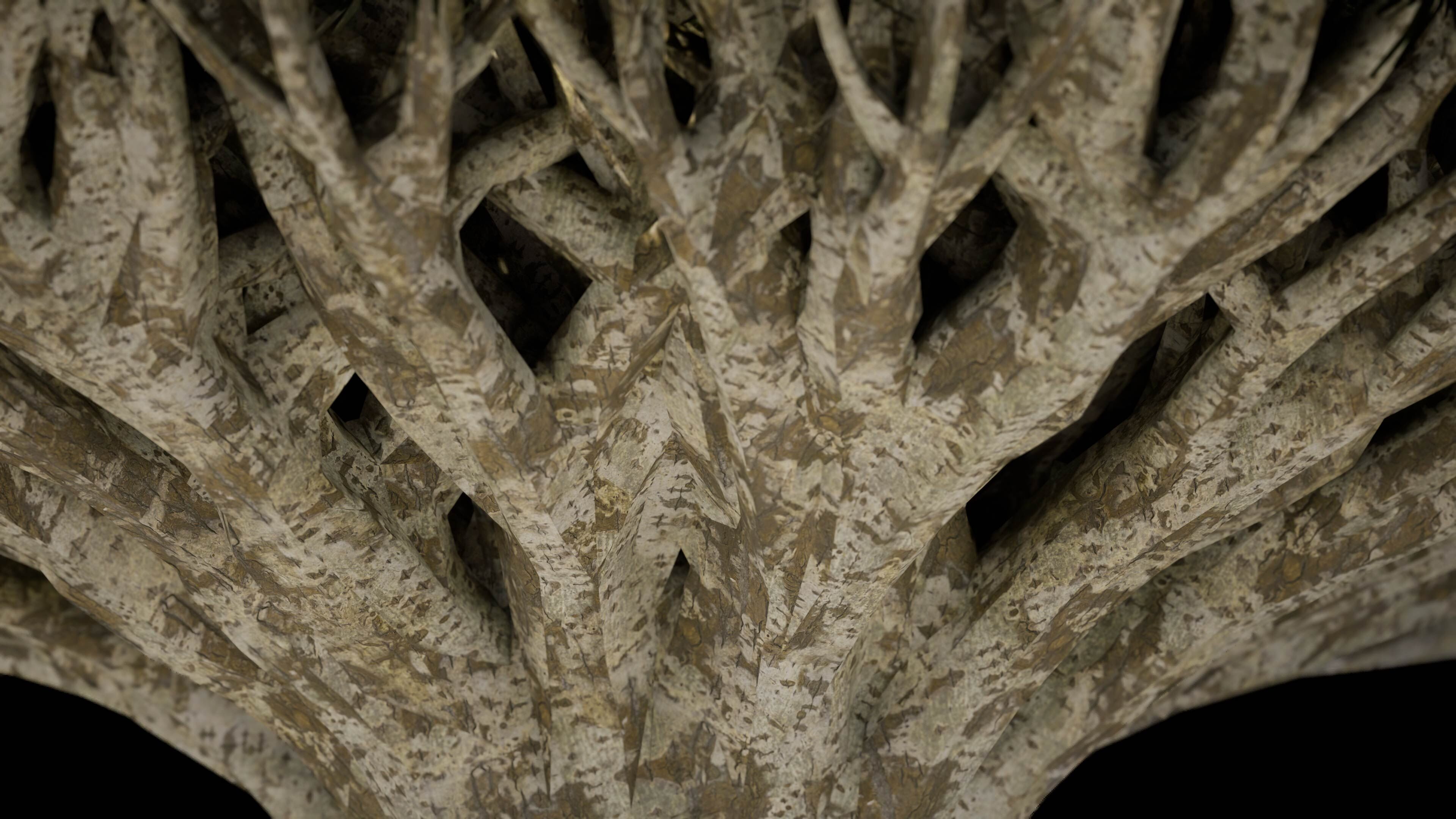 Dragon Tree 3D model_5