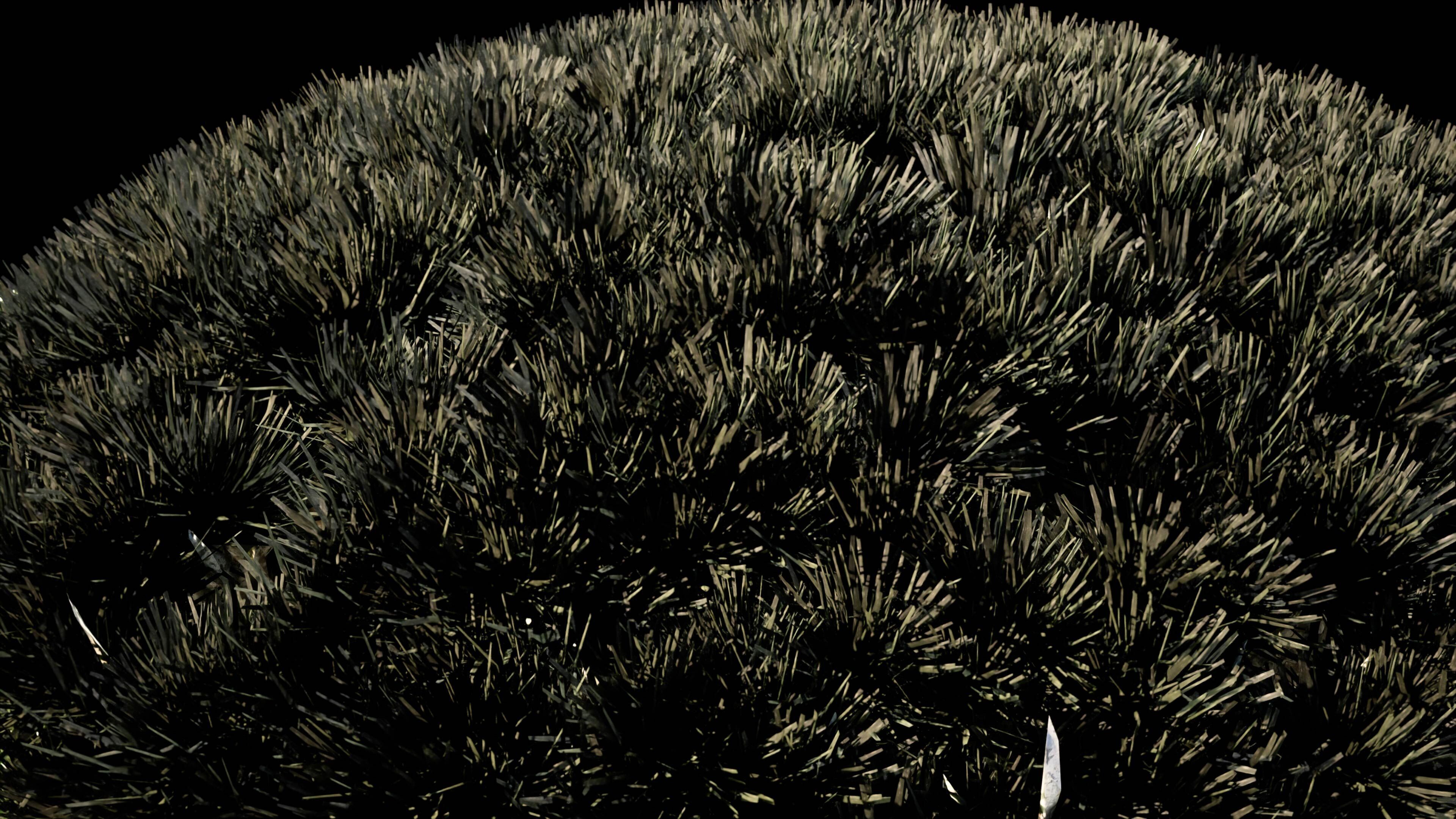 Dragon Tree 3D model_4