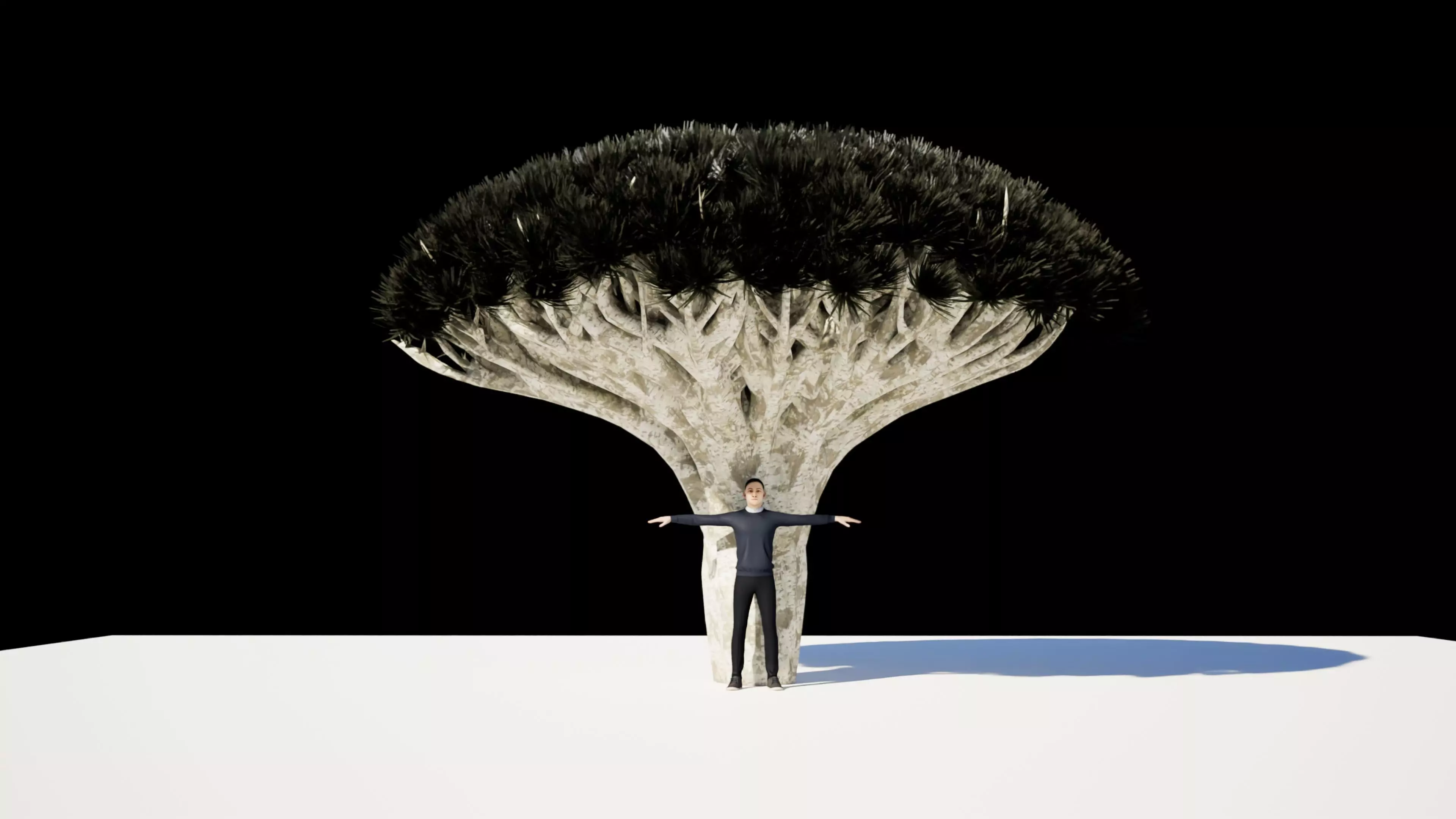 Dragon Tree 3D model_0