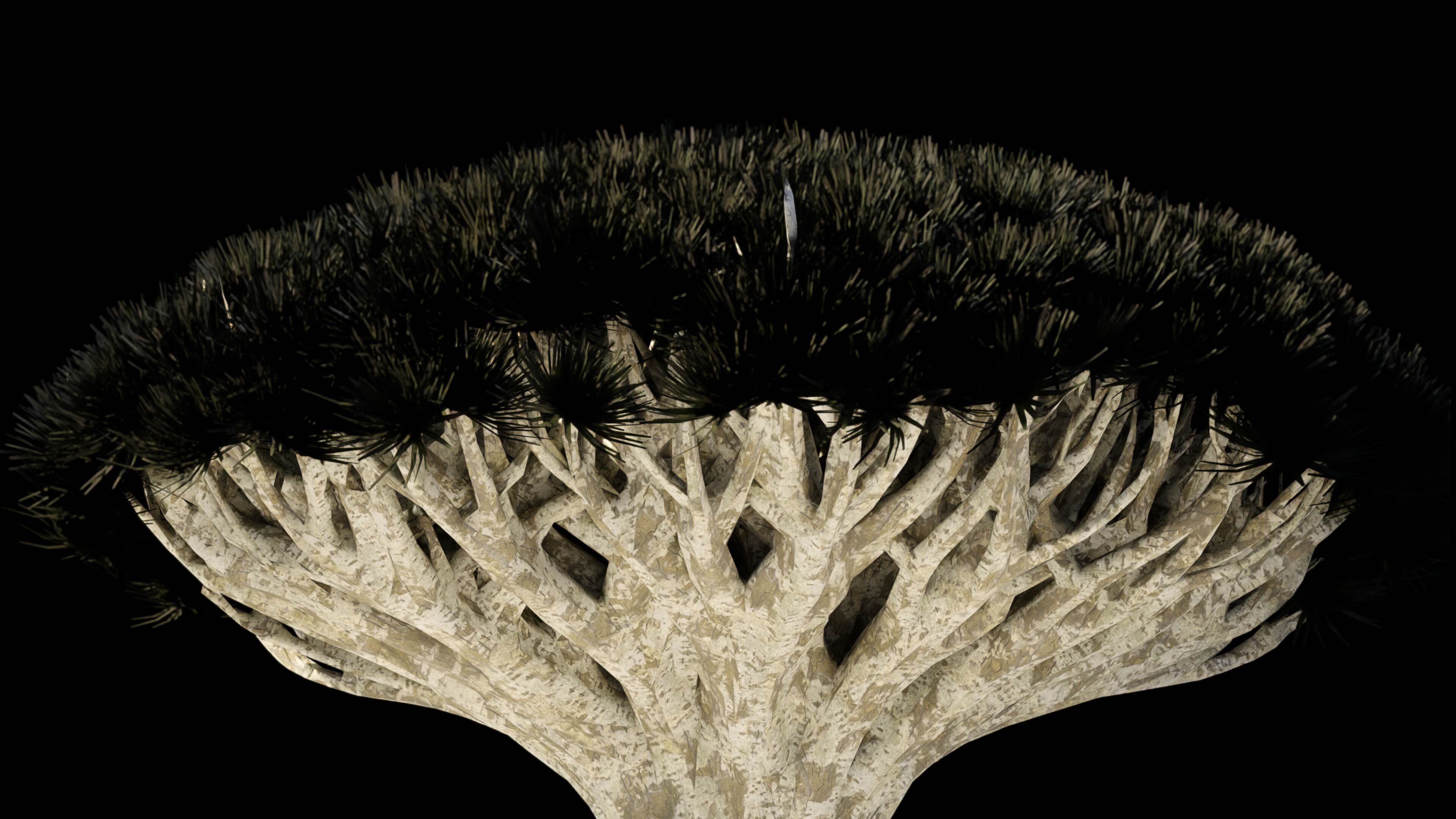 Dragon Tree 3D model_1