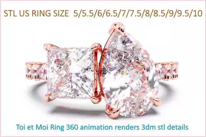 Toi et Moi Ring 360 animation renders 3dm stl details 3D print model
