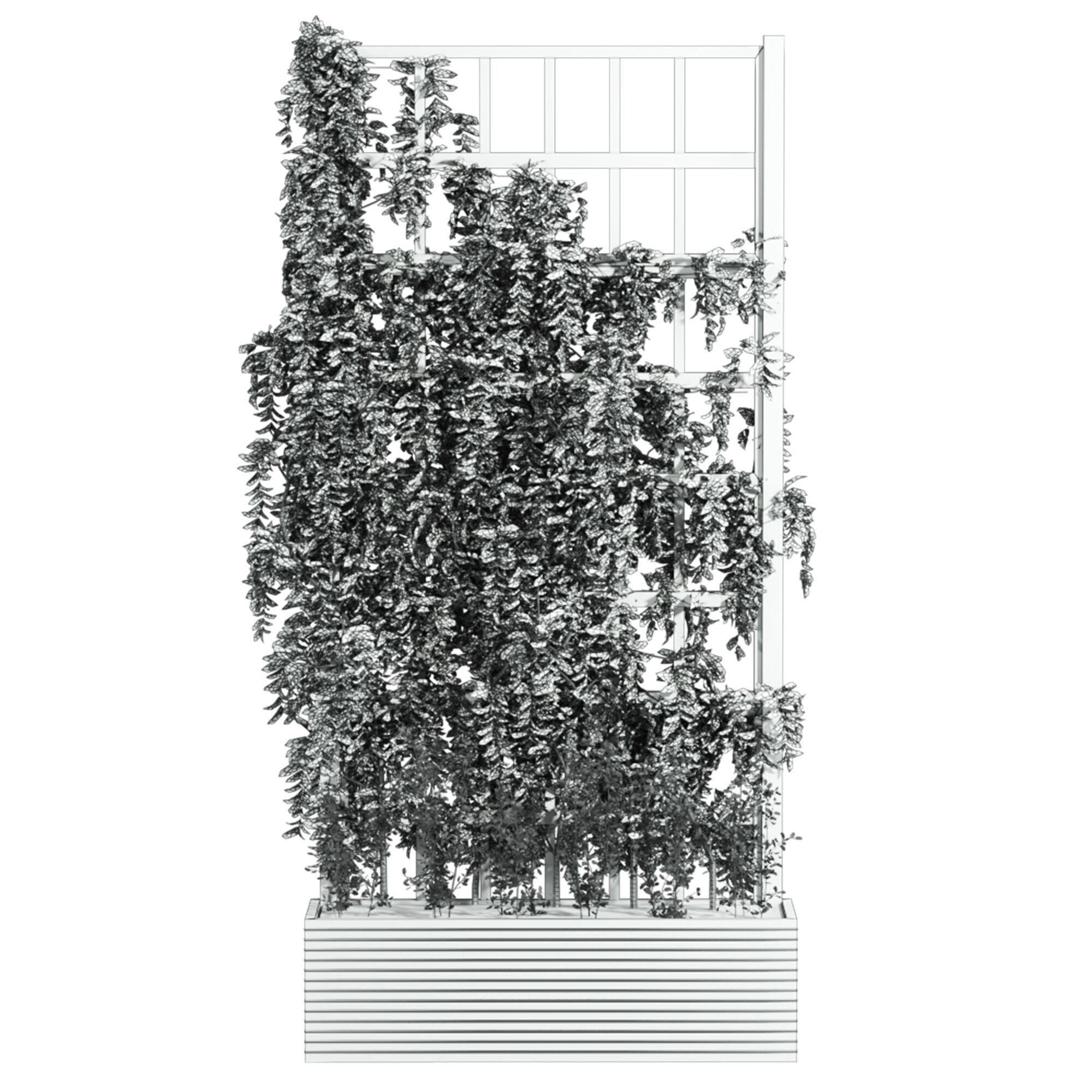 ivy plants 3D model_3