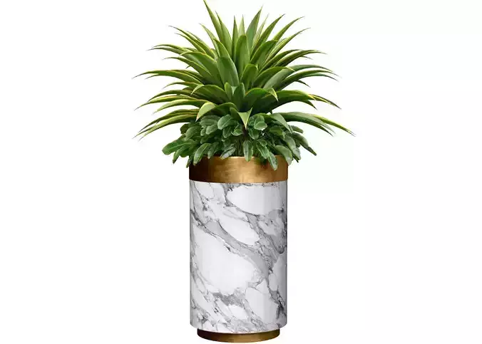 Decorative tropical Agave plant in a modern tall marble vase