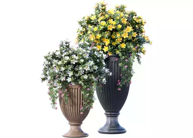 Bouquet of white and yellow Petunia flowers in pots urns vases 3D model