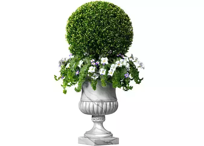 Boxwood with a flower bed in a classic garden marble vase urn