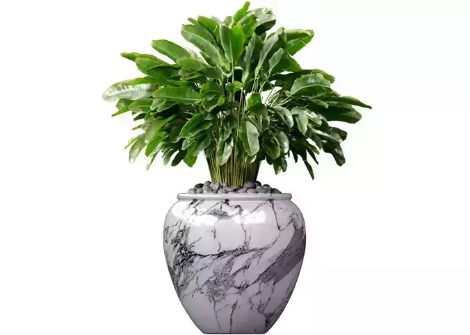 Decorative Fern in a large white marble vase urn pot 3D model