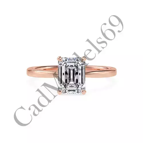 Ring13 3DM Print Model with 28 IMAGES and 7 VIDEOS