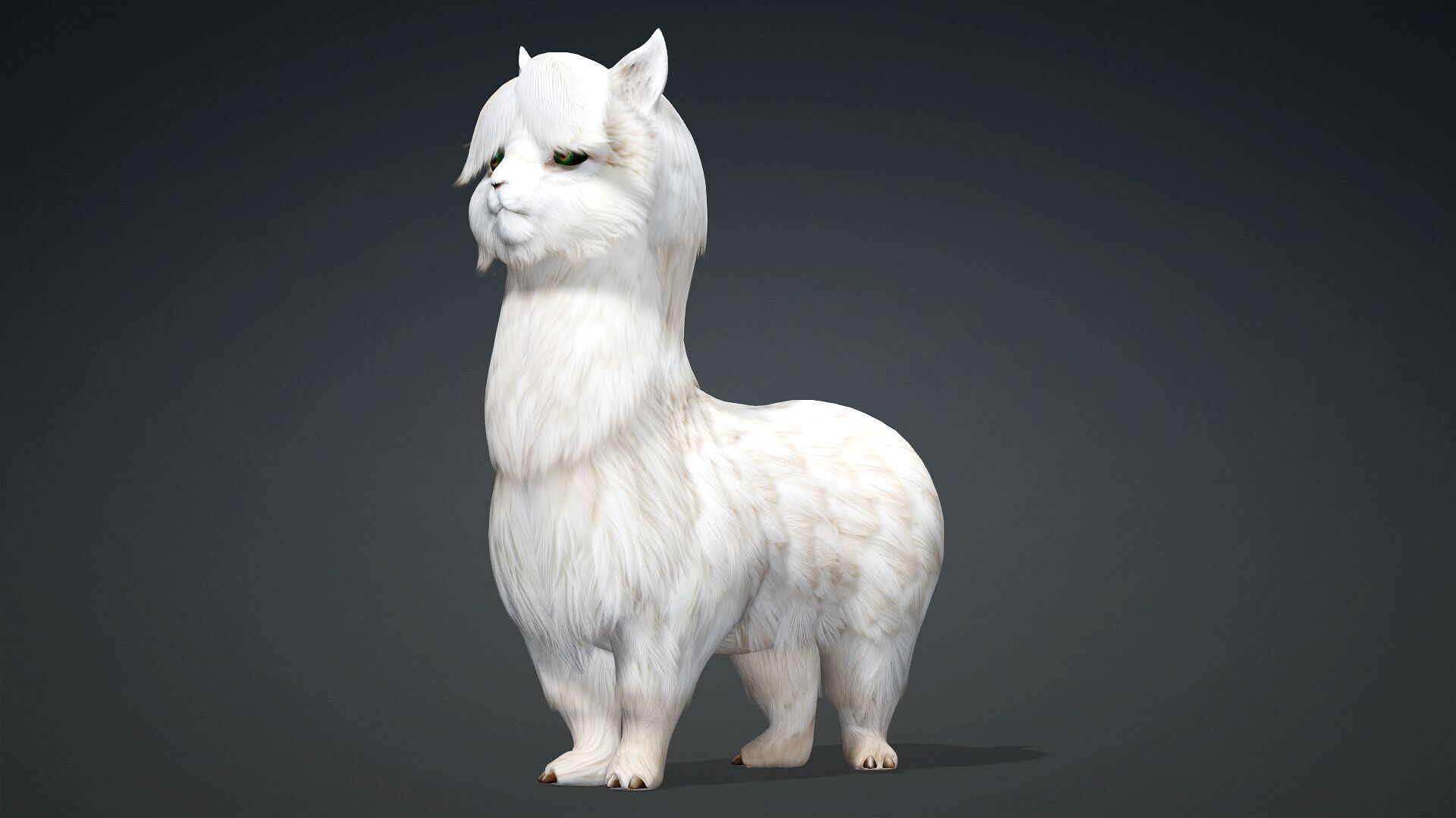 Alpaca-A1 3D model_8