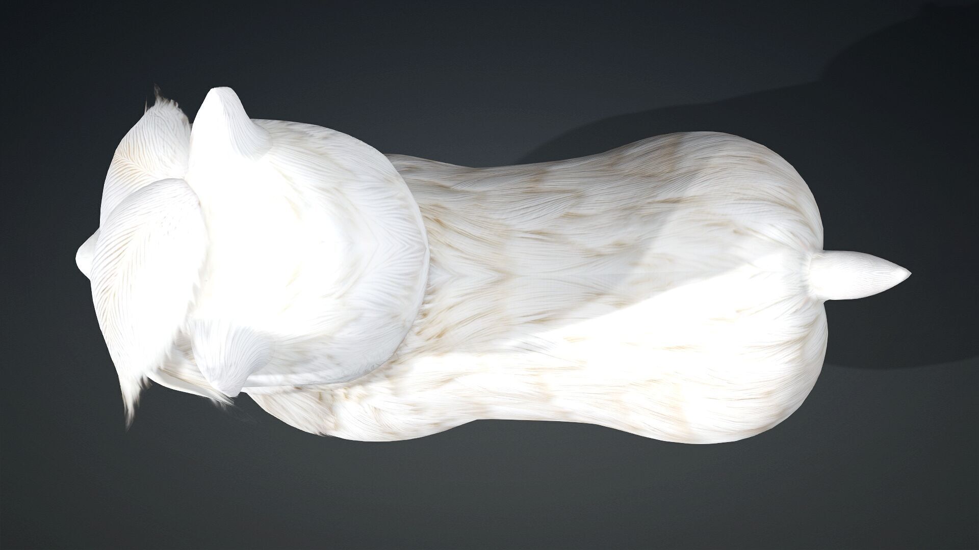 Alpaca-A1 3D model_11