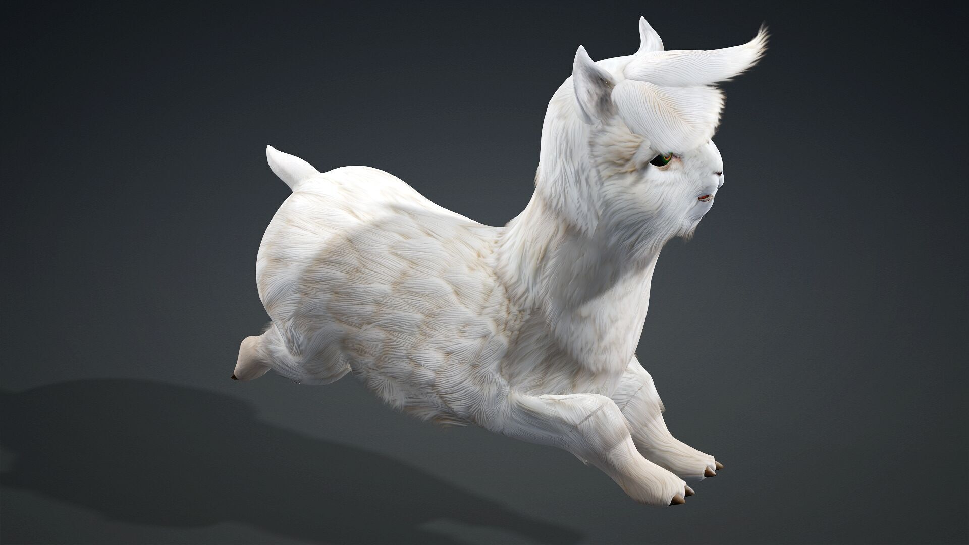 Alpaca-A1 3D model_6