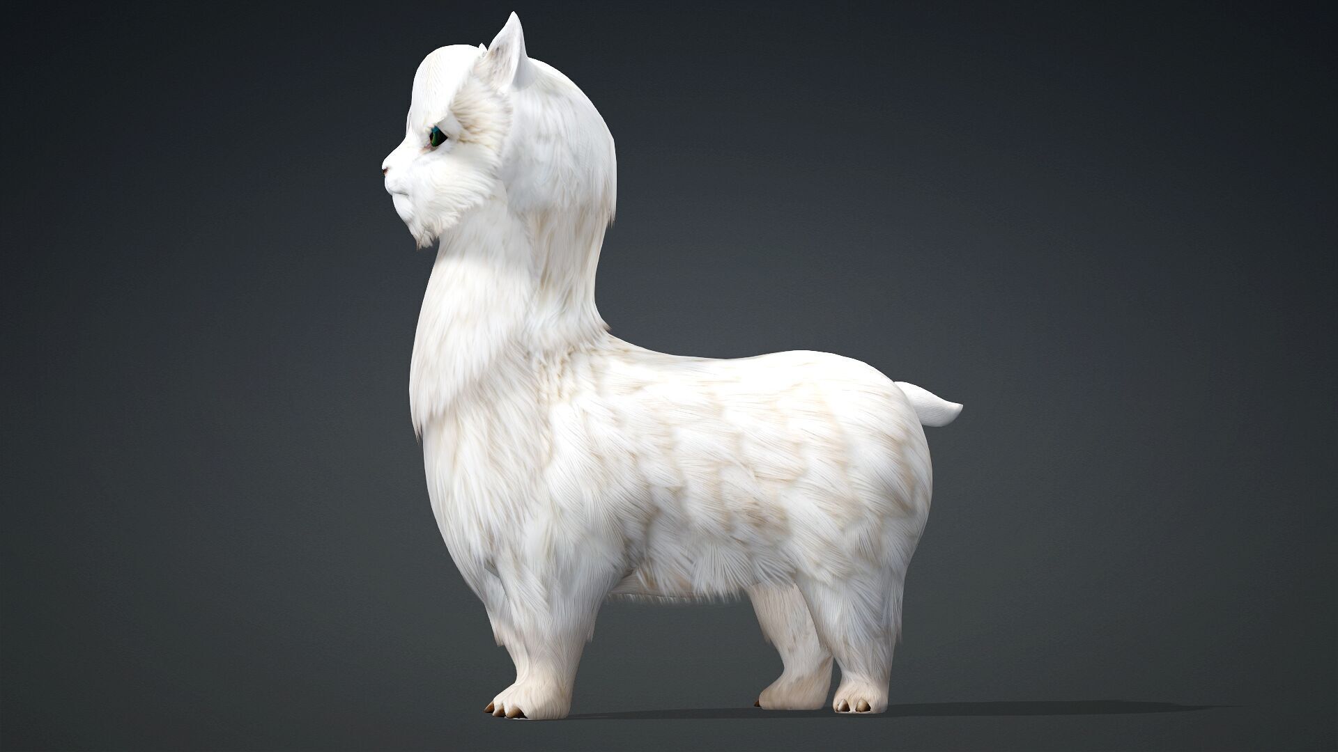 Alpaca-A1 3D model_3