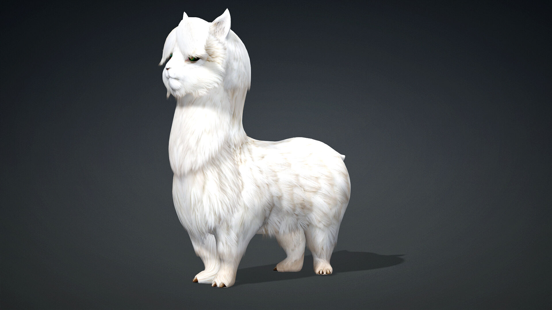 Alpaca-A1 3D model_2