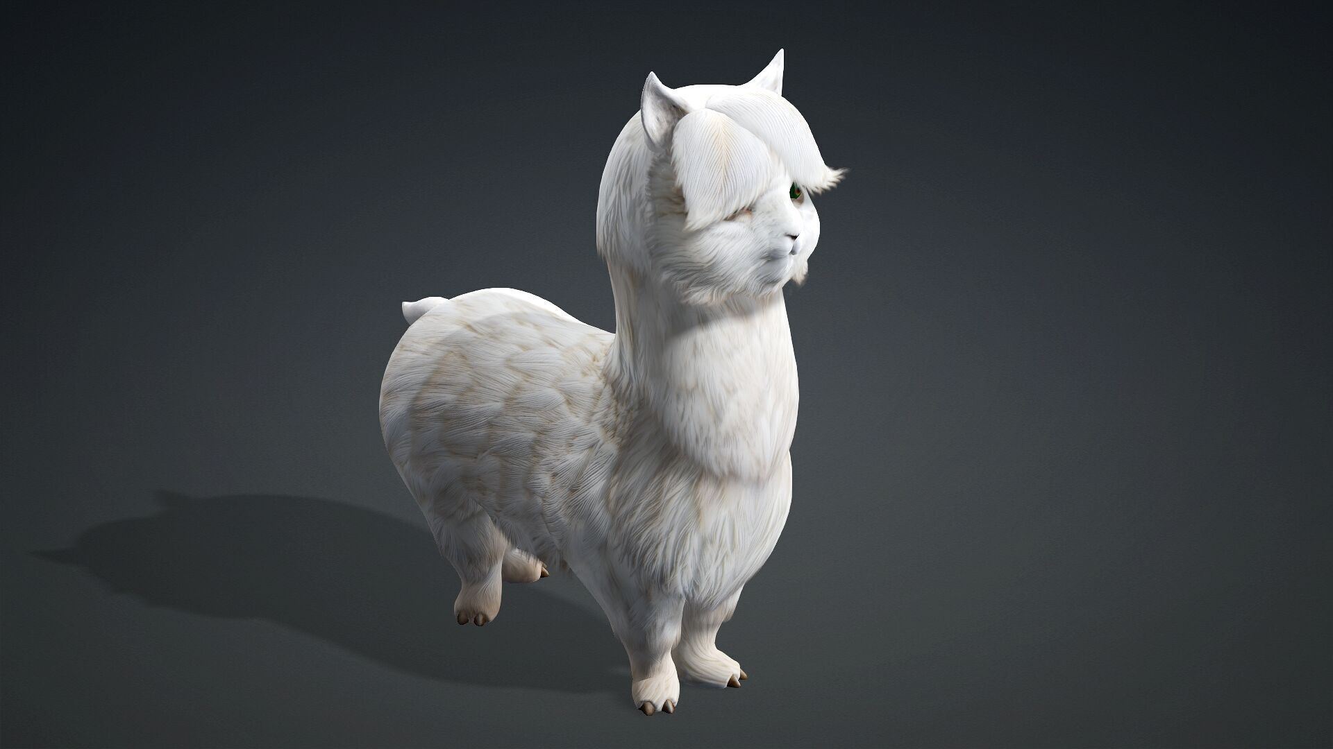 Alpaca-A1 3D model_10