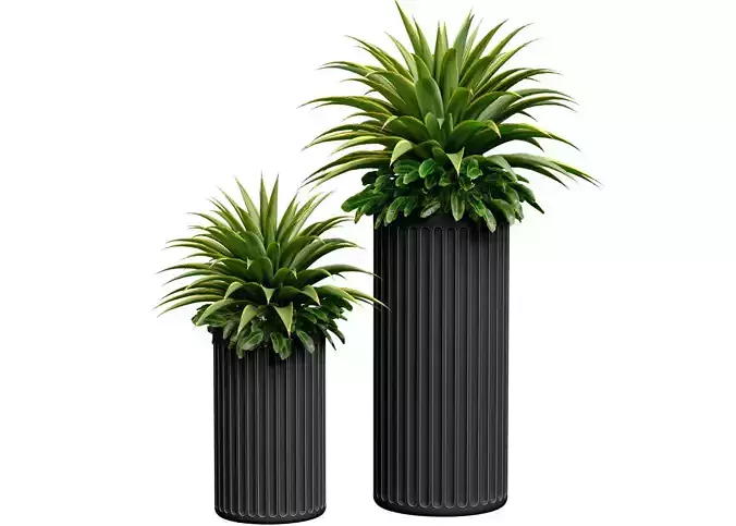 Decorative tropical plant Agave in a modern vase urn set 3D model