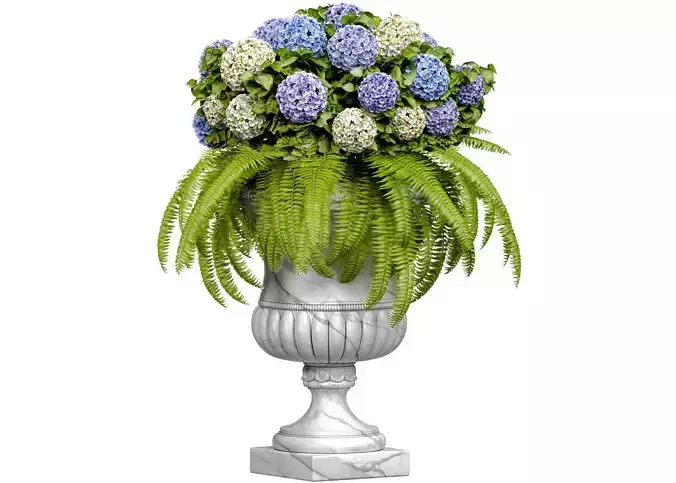 Hydrangea flowers  Fern plant Classic marble Luxury flower vase
