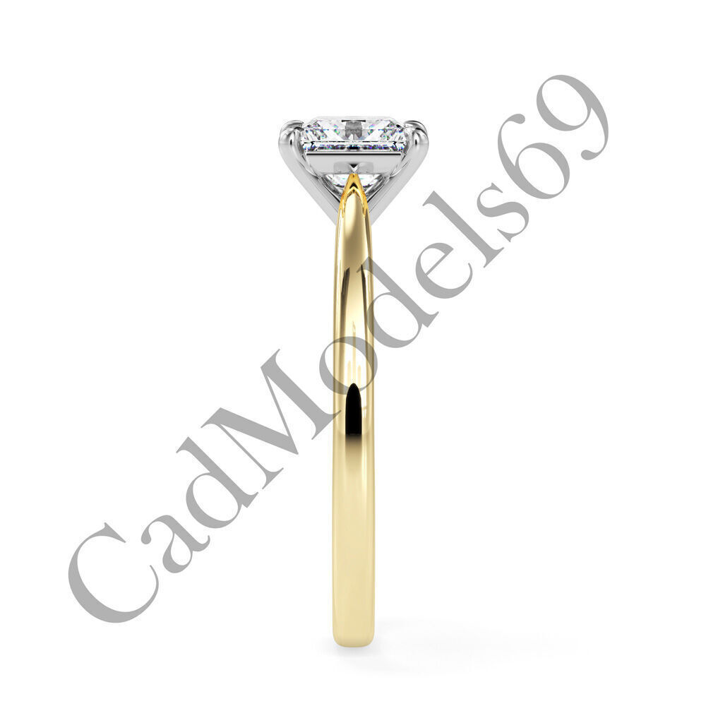 Ring17 3DM Print Model with 28 IMAGES and 7 VIDEOS 3D print model_19