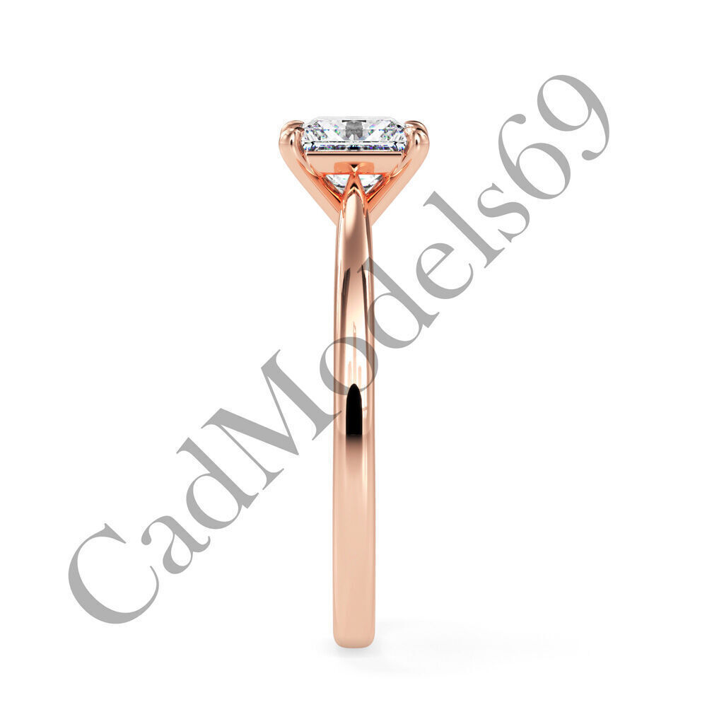 Ring17 3DM Print Model with 28 IMAGES and 7 VIDEOS 3D print model_3