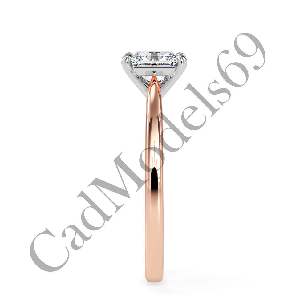 Ring17 3DM Print Model with 28 IMAGES and 7 VIDEOS 3D print model_11