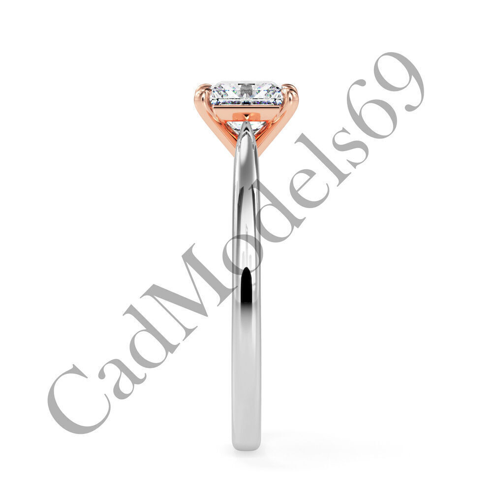 Ring17 3DM Print Model with 28 IMAGES and 7 VIDEOS 3D print model_7