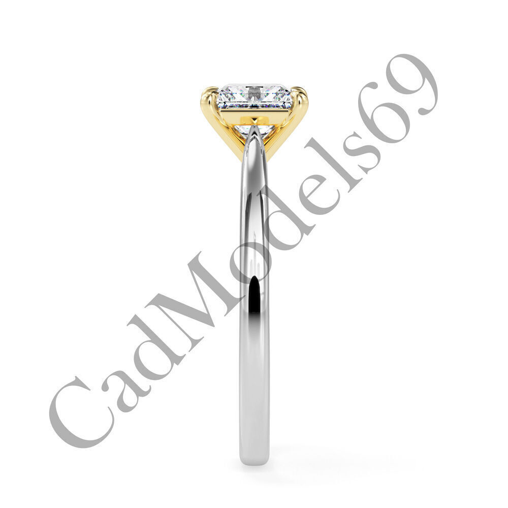 Ring17 3DM Print Model with 28 IMAGES and 7 VIDEOS 3D print model_23