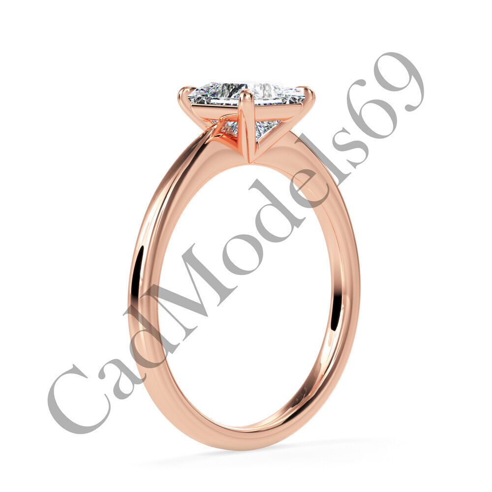 Ring17 3DM Print Model with 28 IMAGES and 7 VIDEOS 3D print model_1