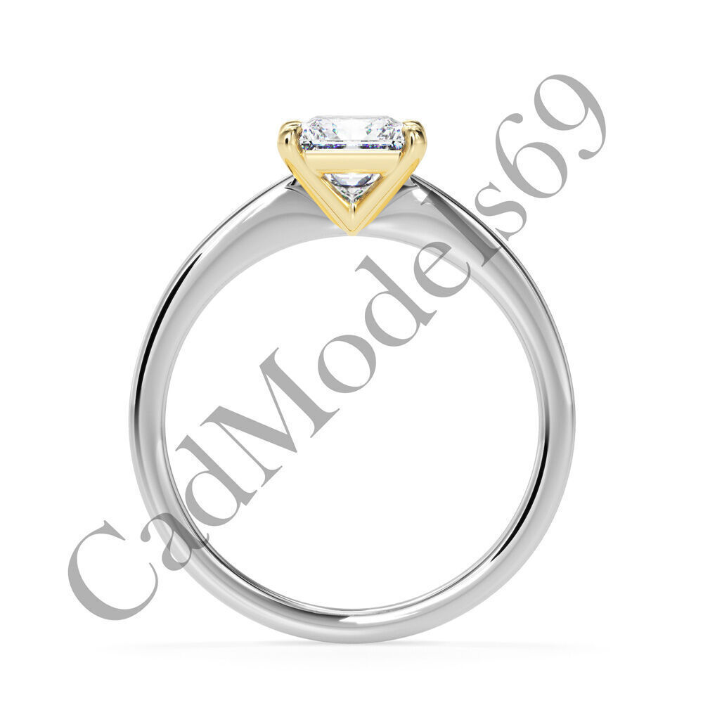 Ring17 3DM Print Model with 28 IMAGES and 7 VIDEOS 3D print model_22