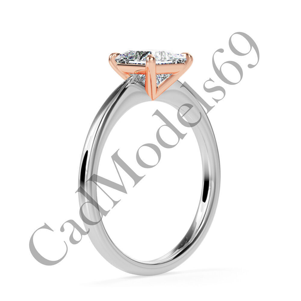 Ring17 3DM Print Model with 28 IMAGES and 7 VIDEOS 3D print model_5