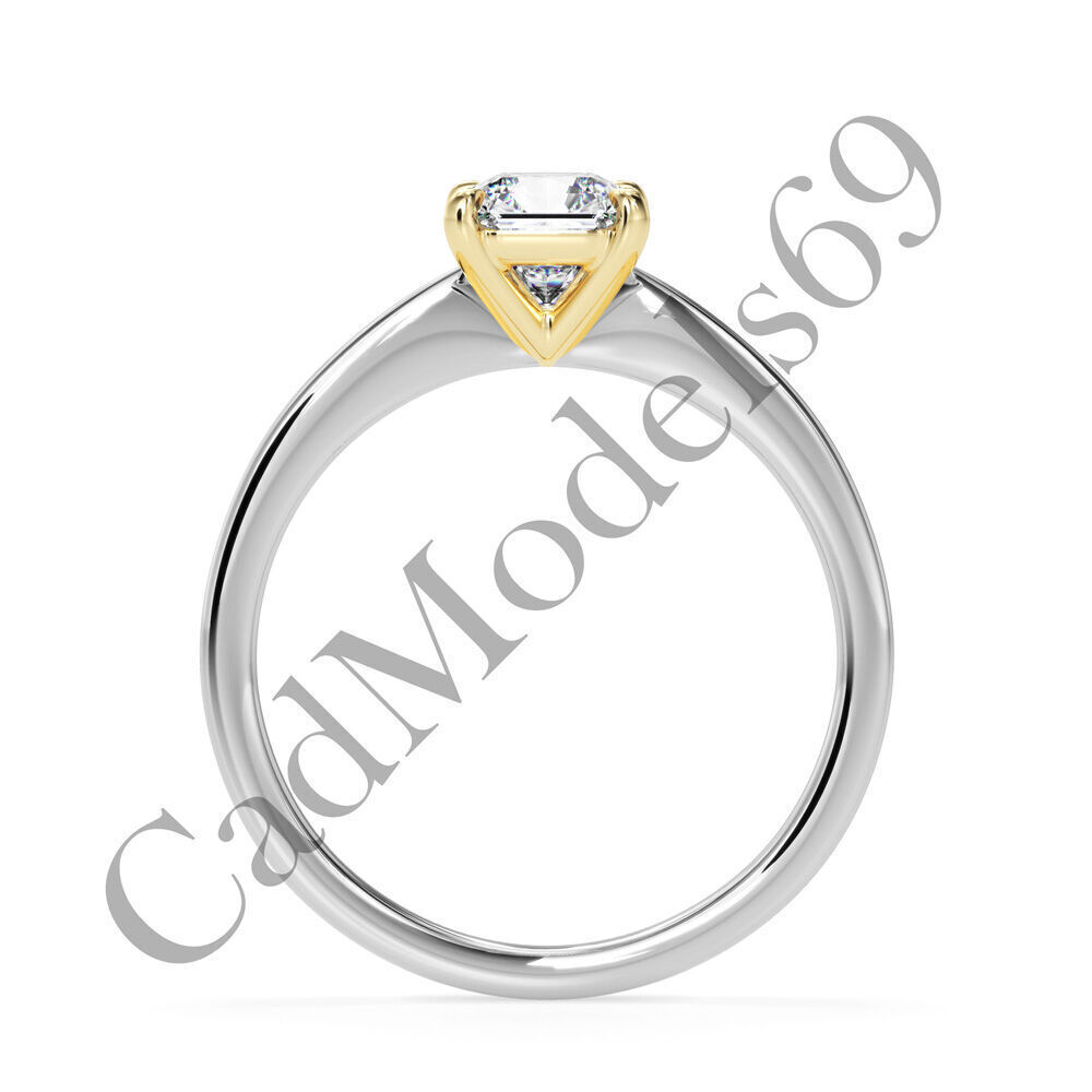 Ring20 3DM Print Model with 28 IMAGES and 7 VIDEOS 3D print model_22