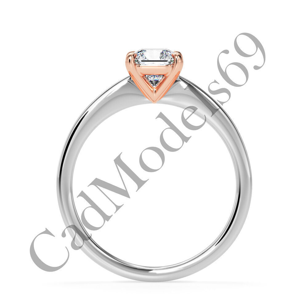 Ring20 3DM Print Model with 28 IMAGES and 7 VIDEOS 3D print model_6