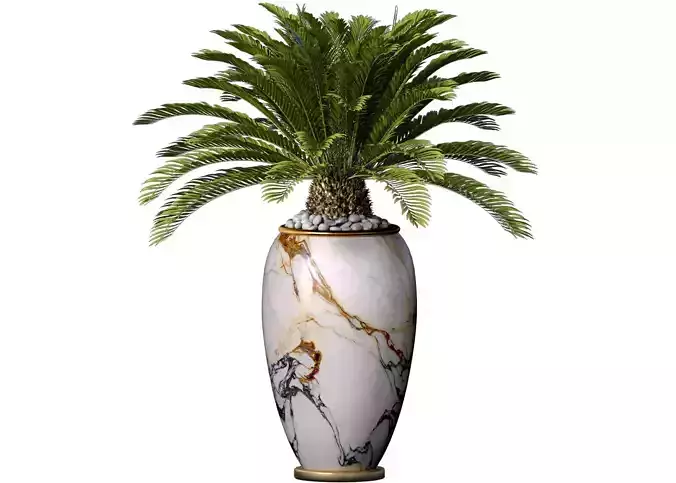 Decorative Cycas palm in marble vase pot urn