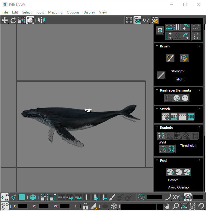 Humpback Whale Is Jumping and Breaching In The Ocean 3D model_18