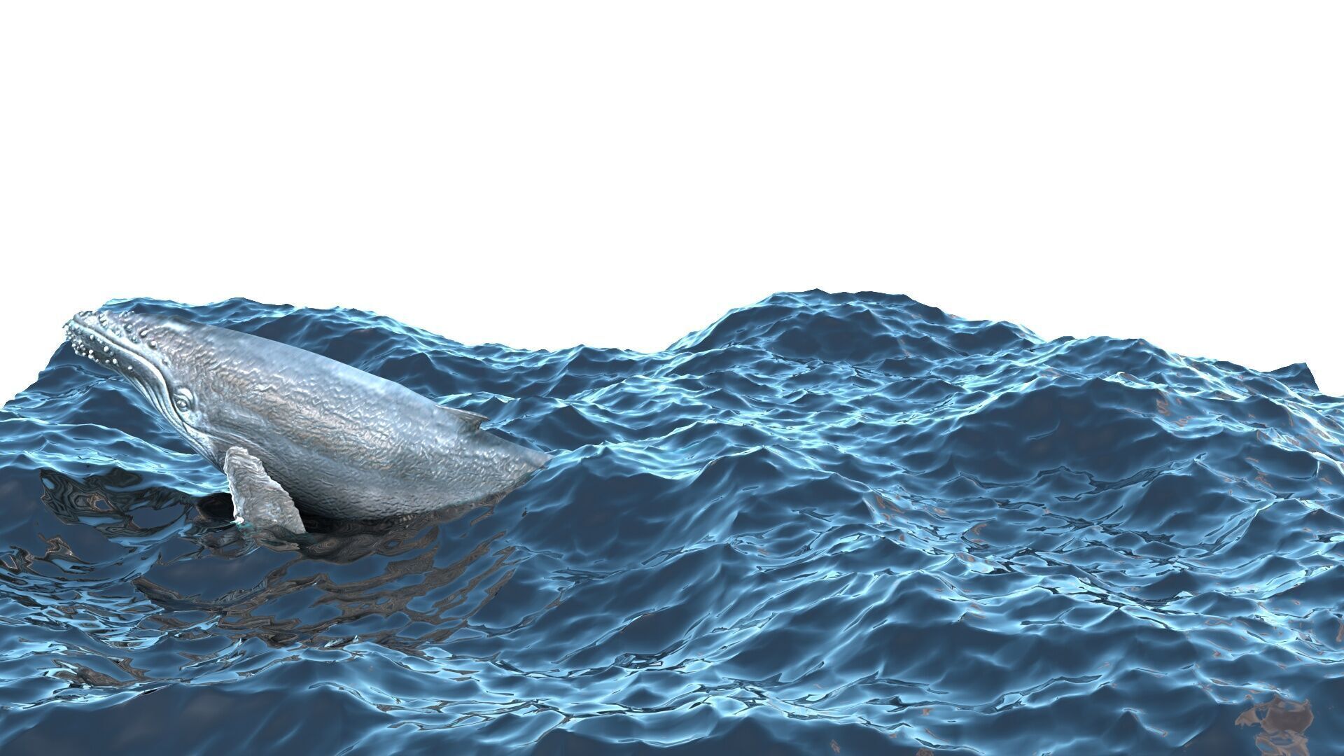 Humpback Whale Is Jumping and Breaching In The Ocean 3D model_4