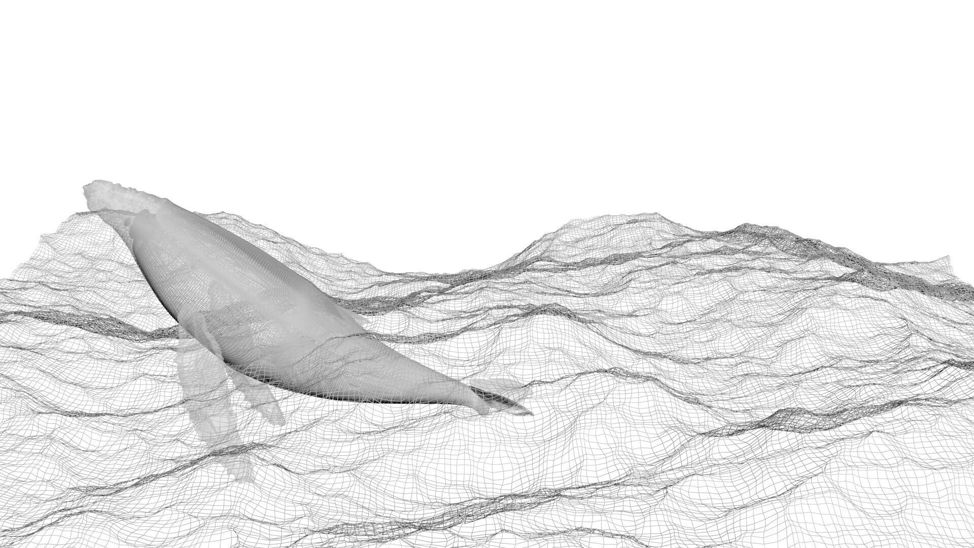 Humpback Whale Is Jumping and Breaching In The Ocean 3D model_12