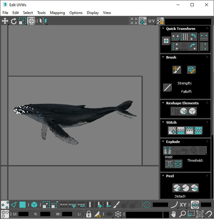 Humpback Whale Is Jumping and Breaching In The Ocean 3D model_21