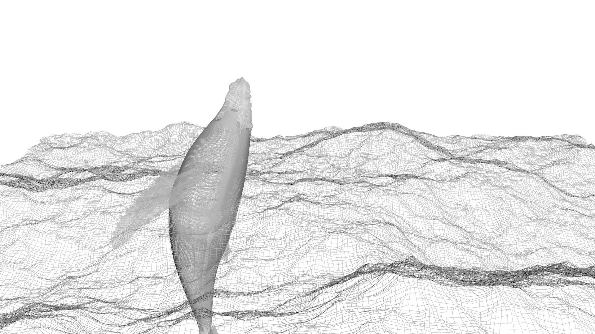 Humpback Whale Is Jumping and Breaching In The Ocean 3D model_10