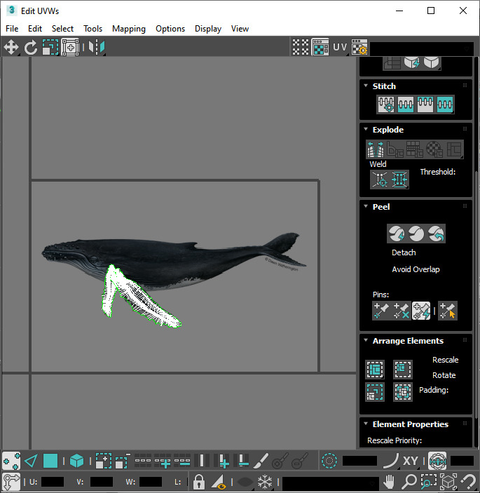 Humpback Whale Is Jumping and Breaching In The Ocean 3D model_19