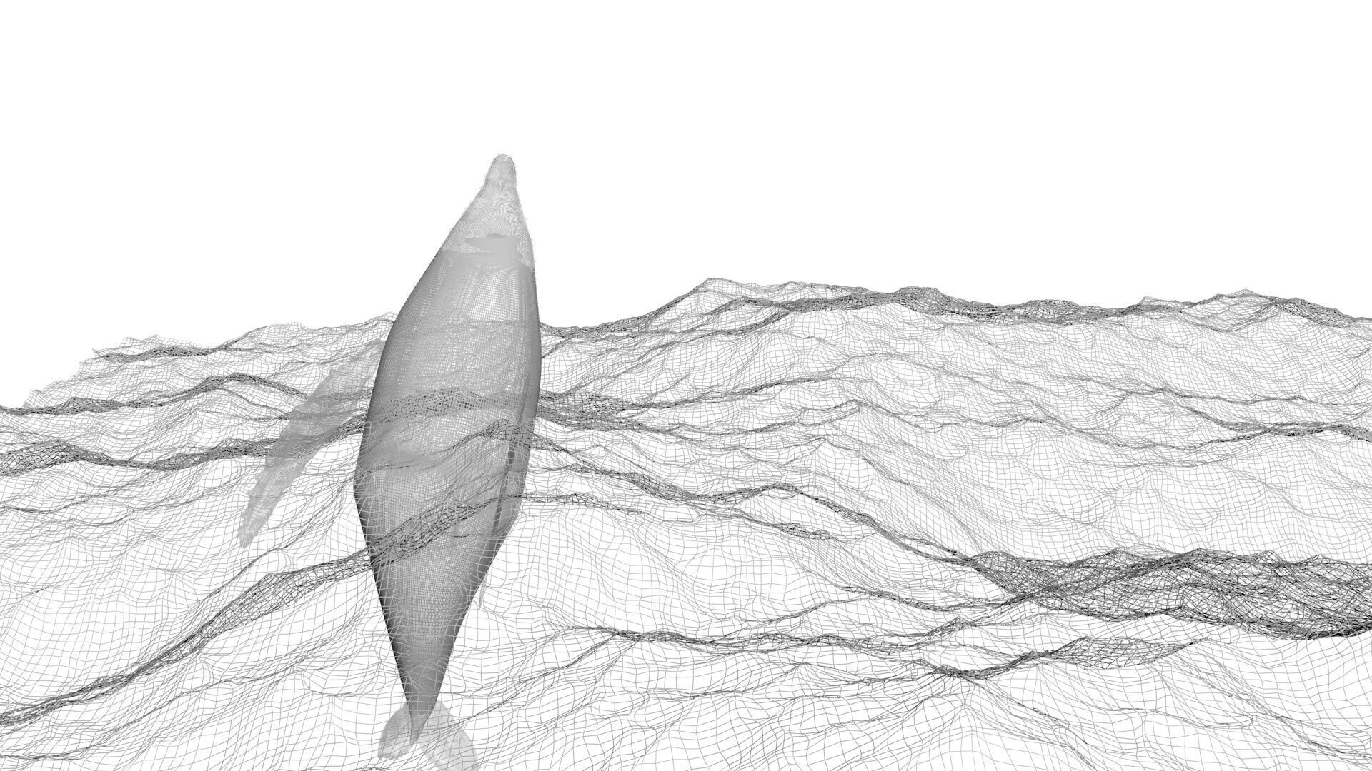 Humpback Whale Is Jumping and Breaching In The Ocean 3D model_11