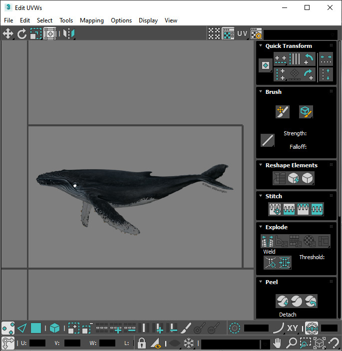 Humpback Whale Is Jumping and Breaching In The Ocean 3D model_20