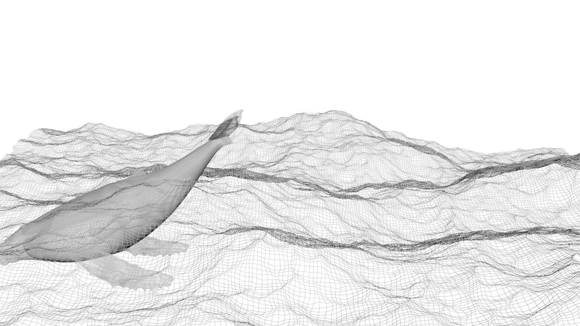 Humpback Whale Is Jumping and Breaching In The Ocean 3D model_13